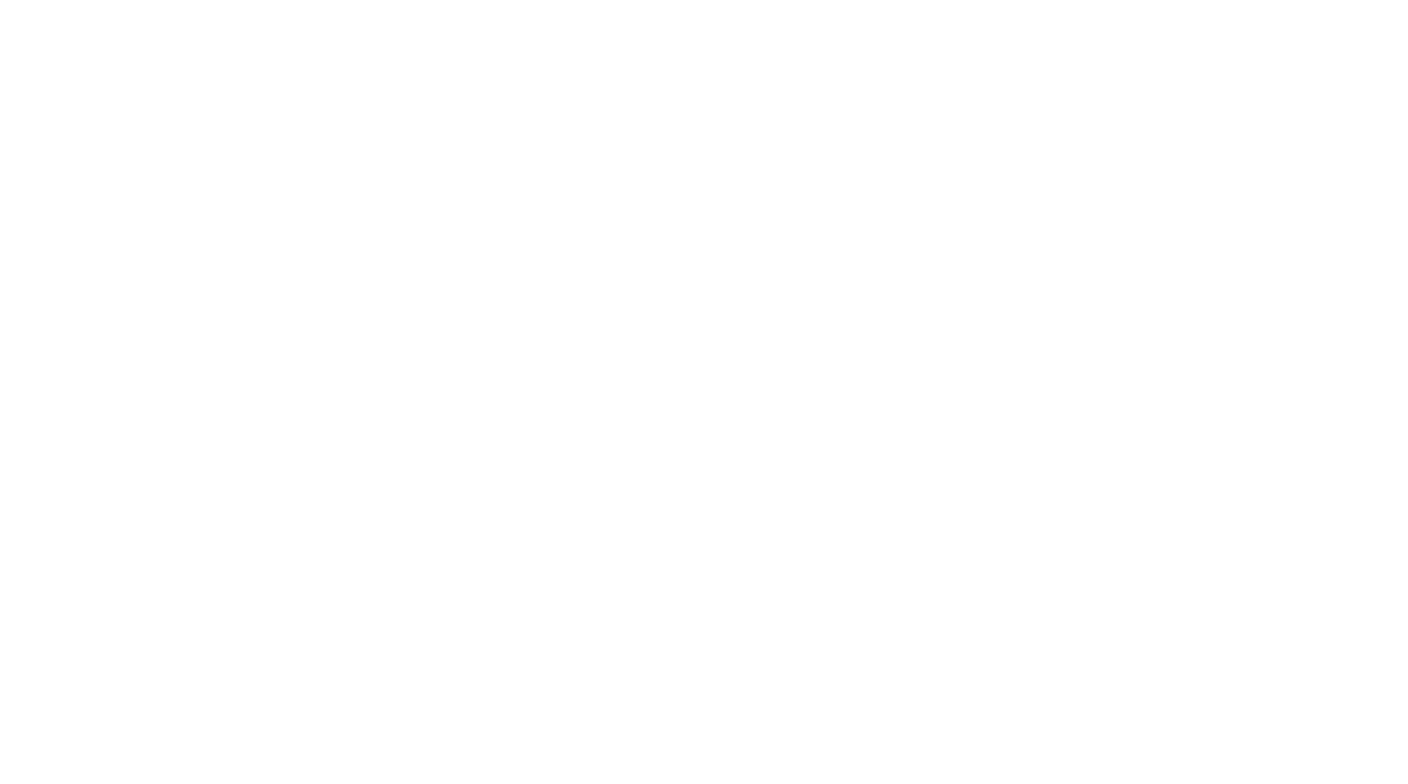 Fondo Acción